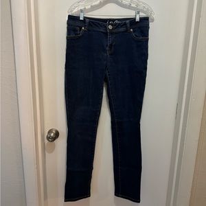 Inc skinny leg jeans, size 8 Reg